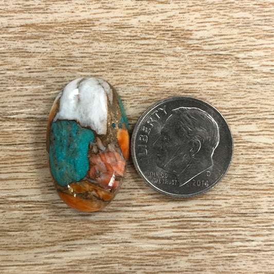 Orange Spiny Turquoise
