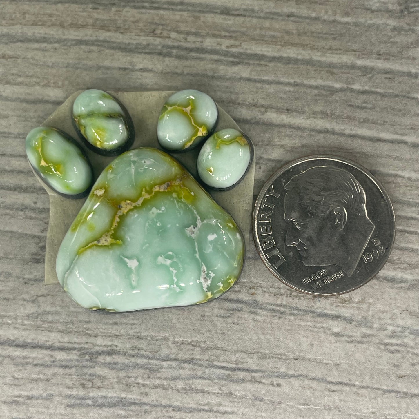 Palomino Paw