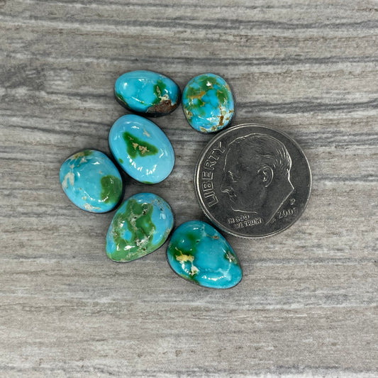 Sonoran Mountain Minis
