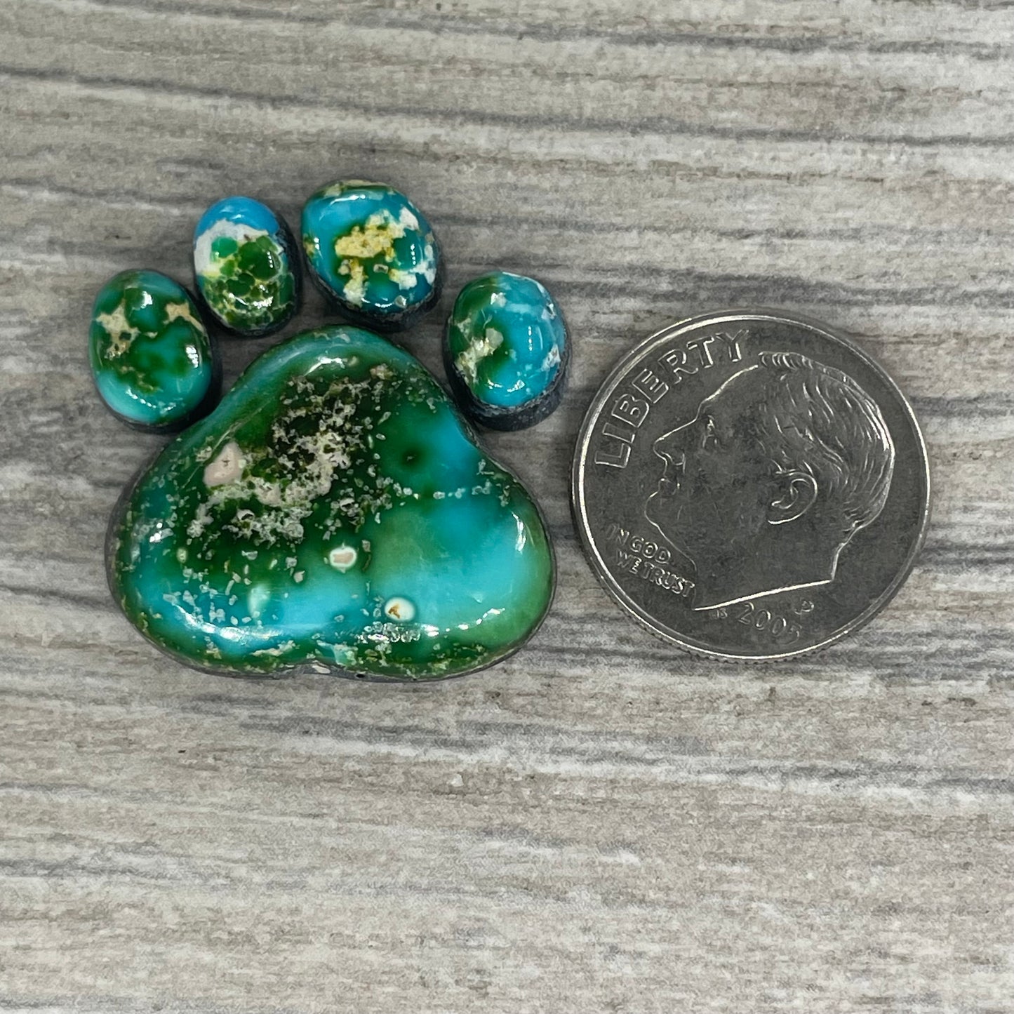 Sonoran Mountain Paw
