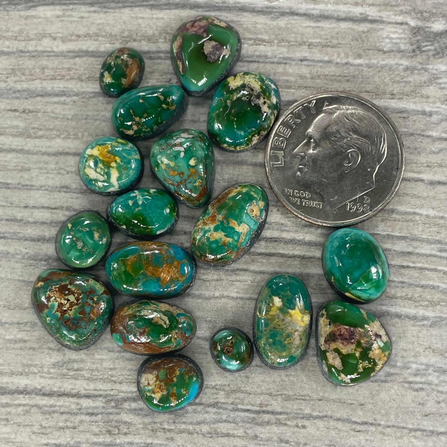 Sonoran Mountain Minis