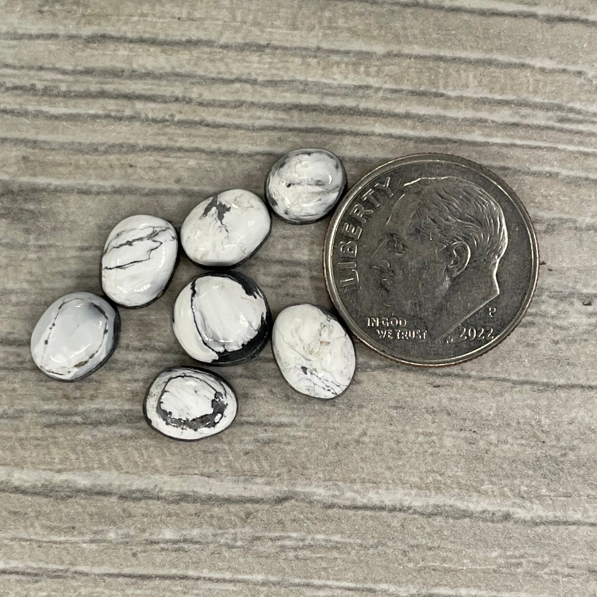 White Buffalo Minis