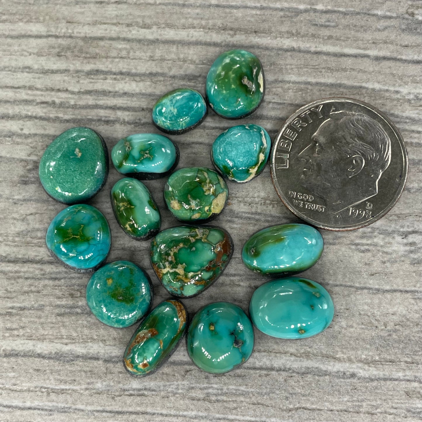 Sonoran Mountain Minis
