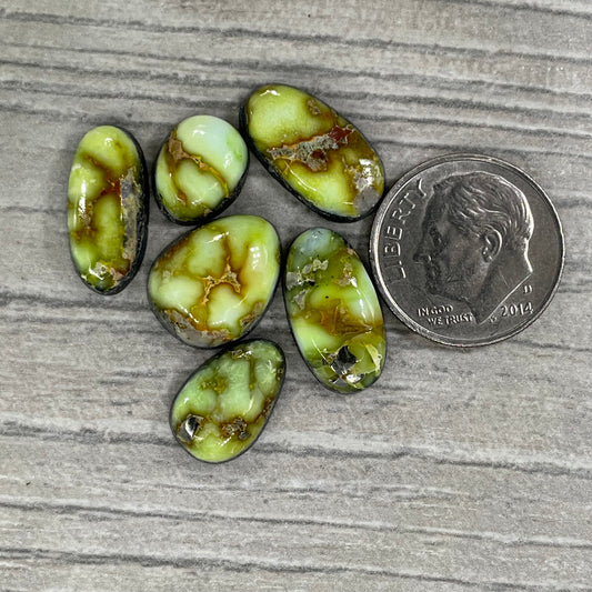 Palomino Minis