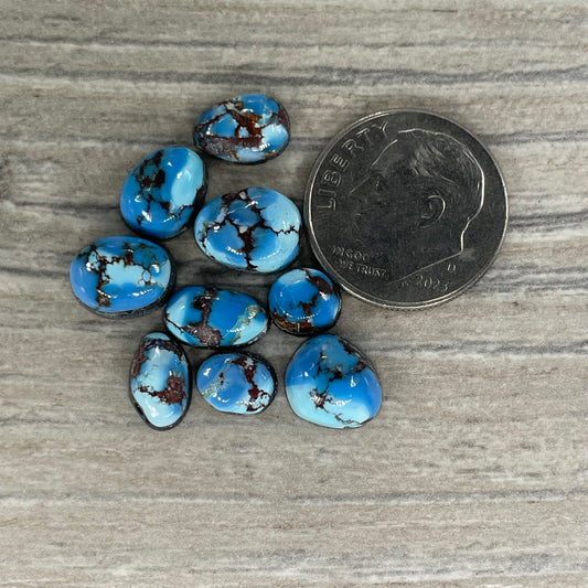 Golden Hill Minis