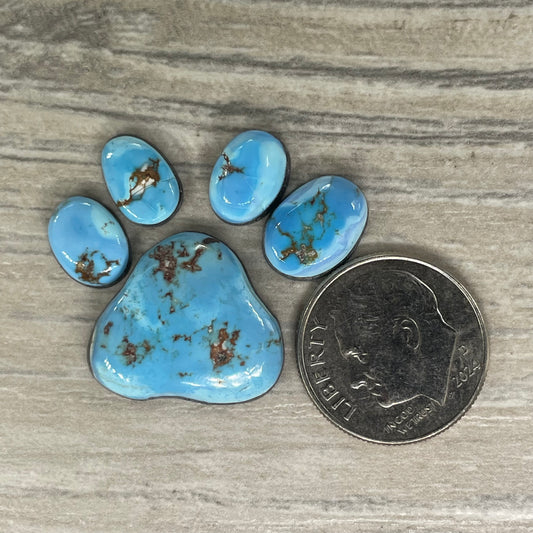 Golden Hill Paw