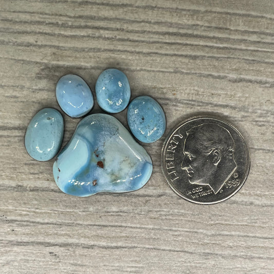 Golden Hill Paw