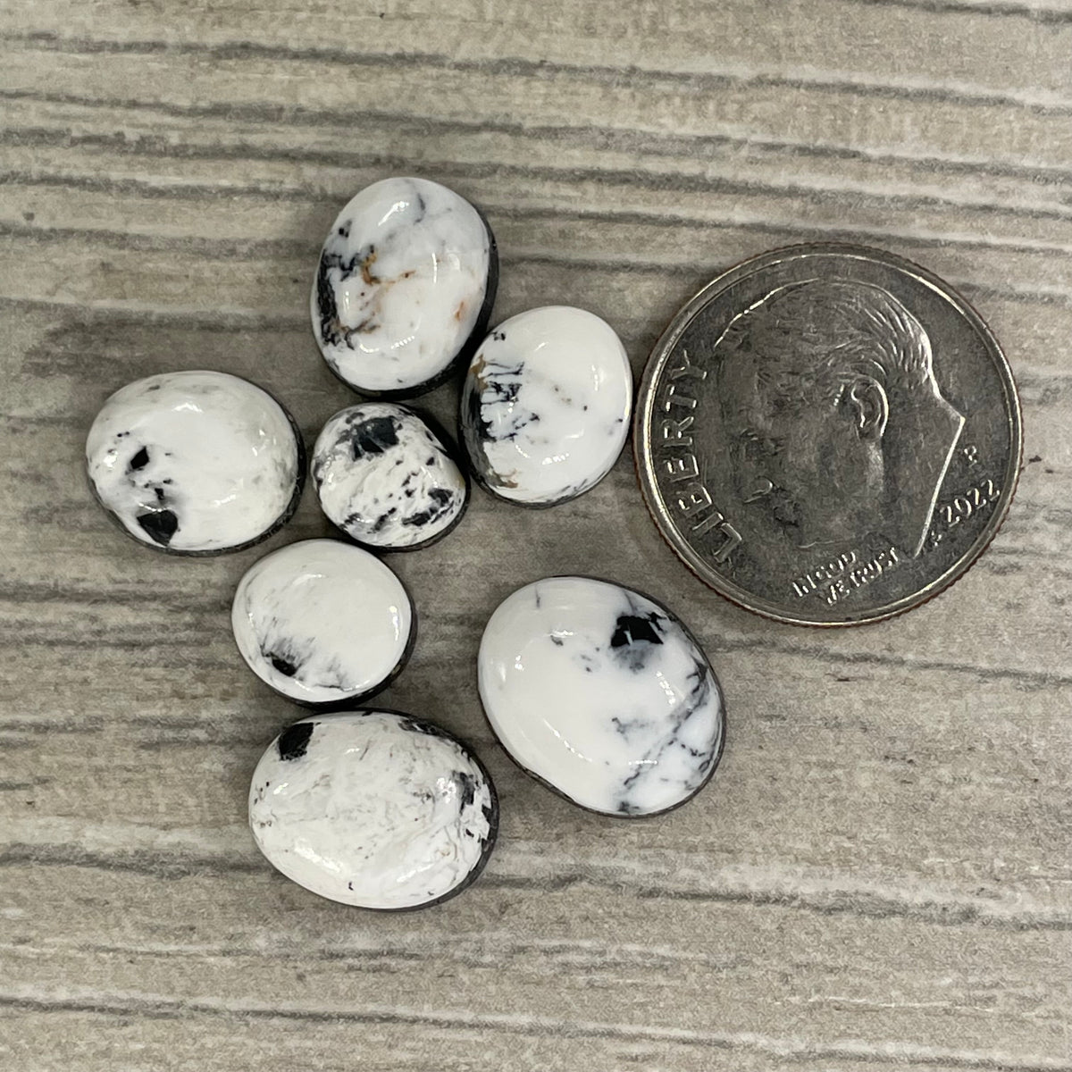 White Buffalo Minis