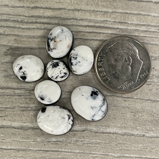 White Buffalo Minis