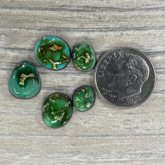 Sonoran Mountain Minis