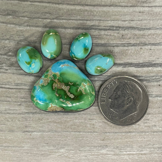 Sierra Bella Paw