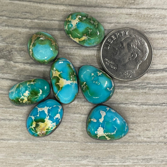 Sonoran Mountain Minis