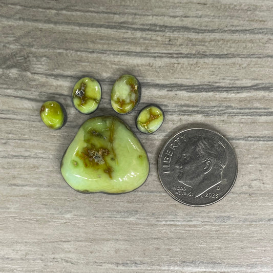 Palomino Paw