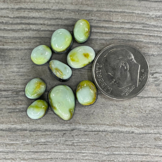 Palomino Minis