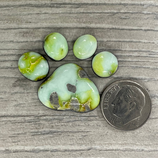 Palomino Paw Set