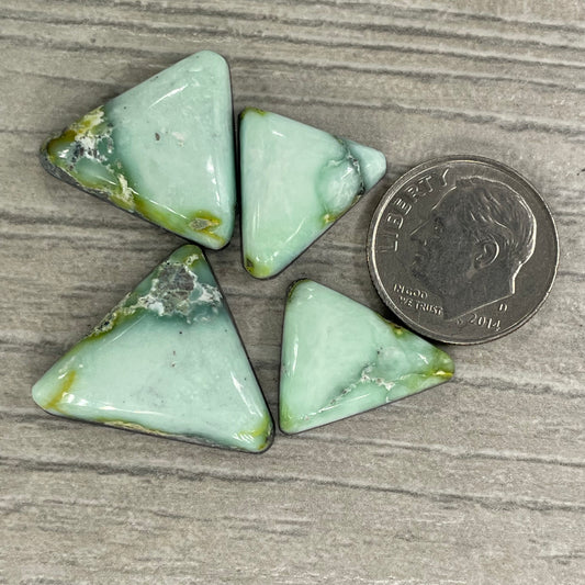 Palomino Triangles