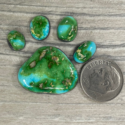 Sierra Bella Paw