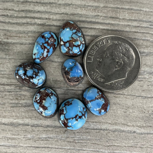 Golden Hill Minis