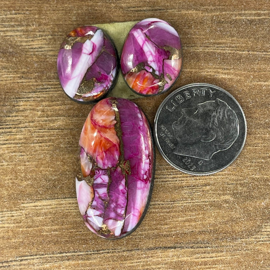 Starburst Spiny Oyster