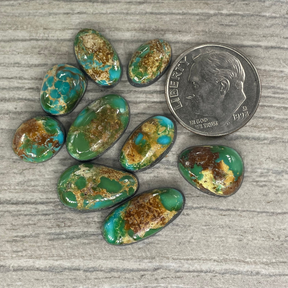 Sonoran Mountain Minis