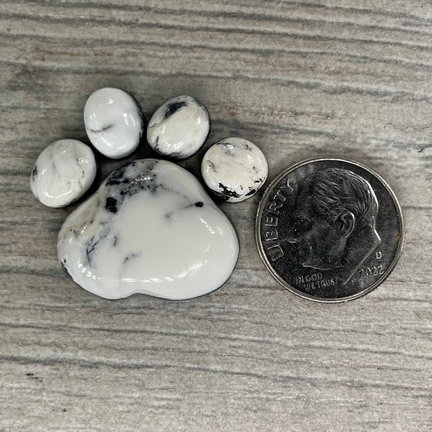 White Buffalo Paw