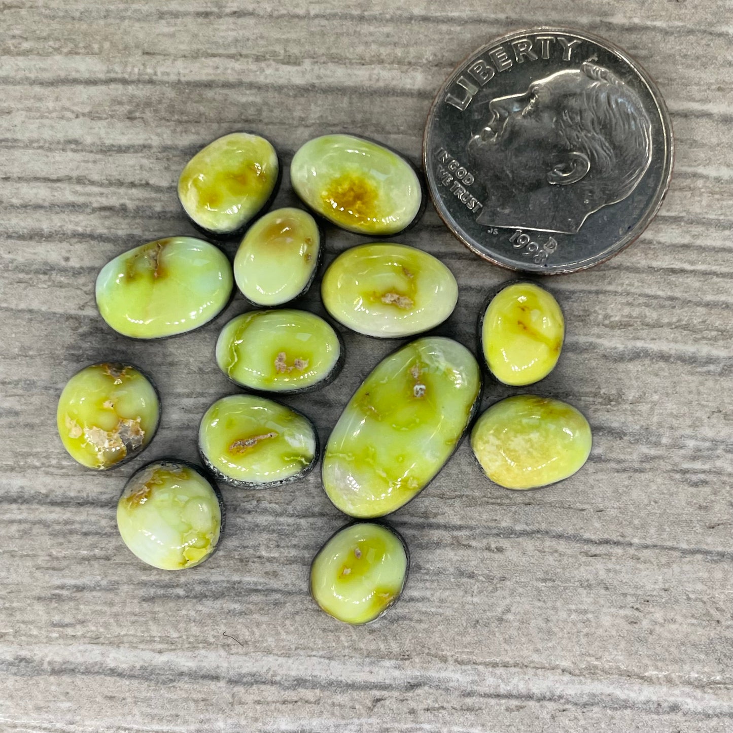 Palomino Minis