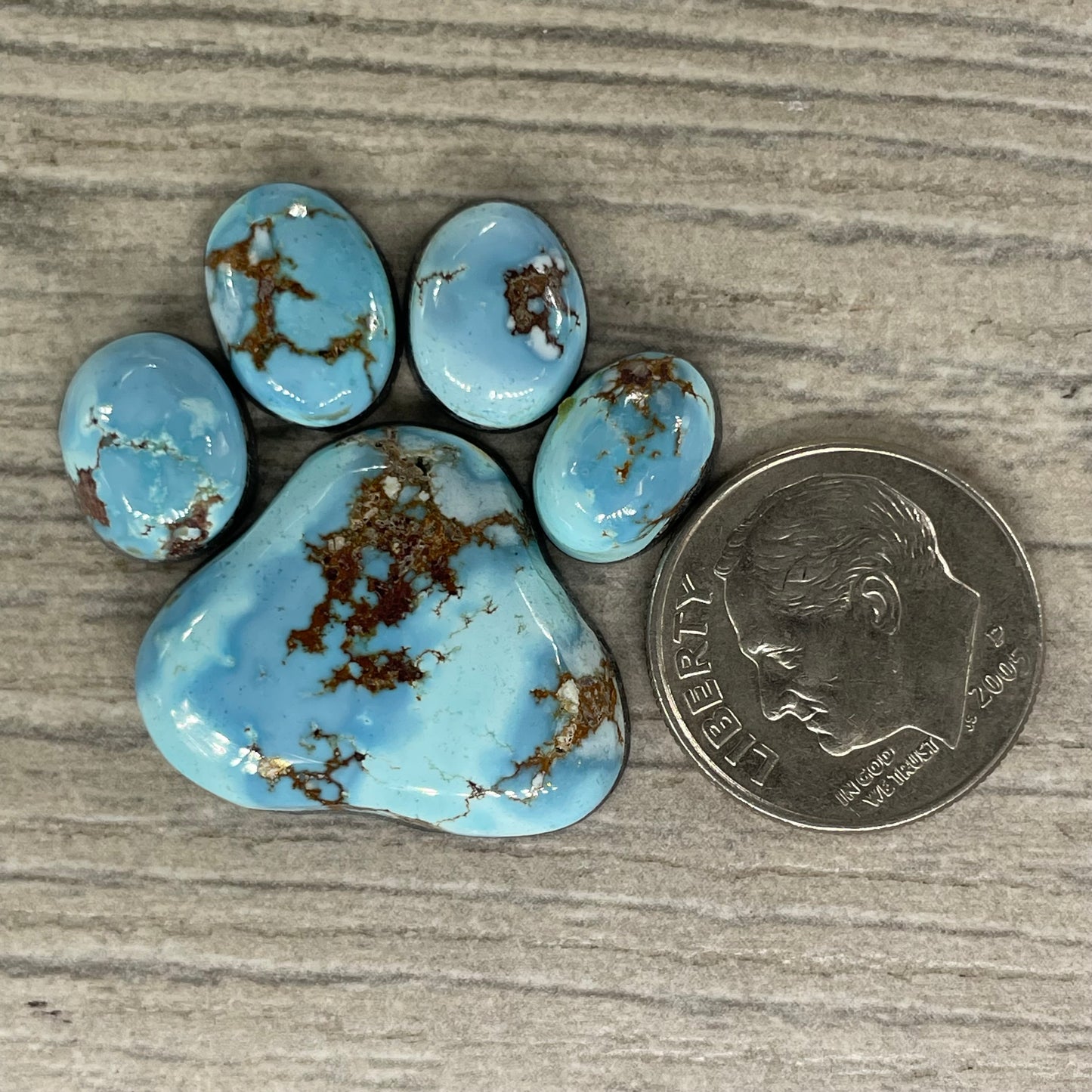 Golden Hill Paw