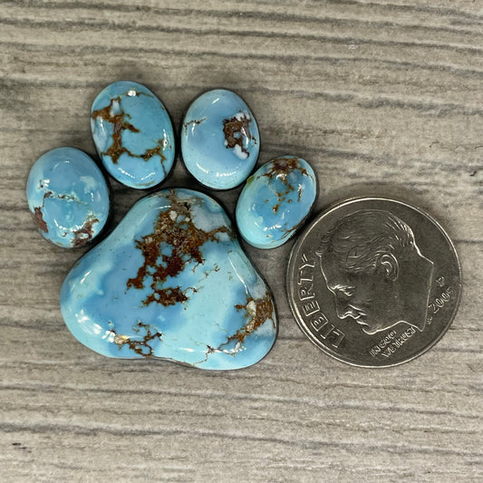 Golden Hill Paw