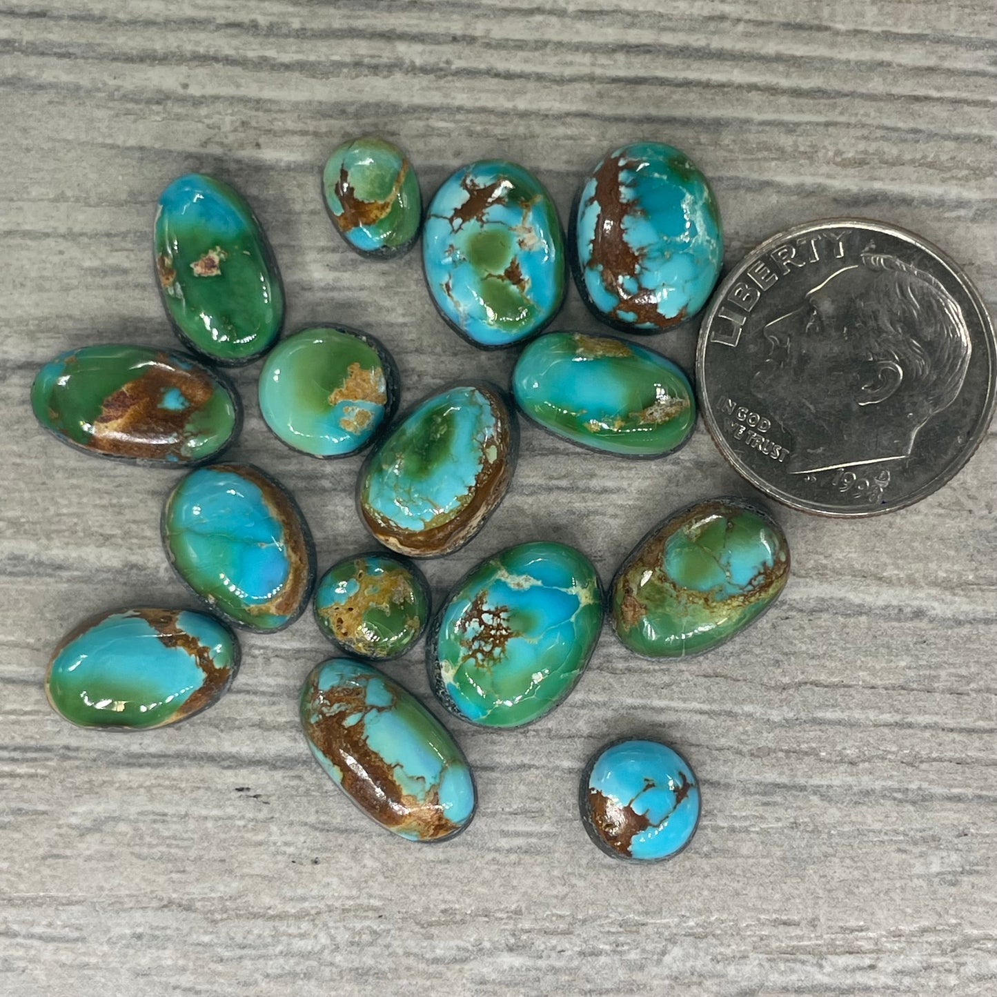 Sonoran Mountain Minis