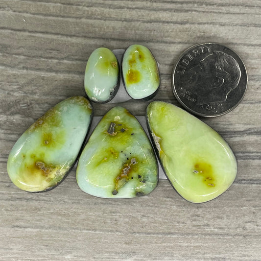 Palomino Set