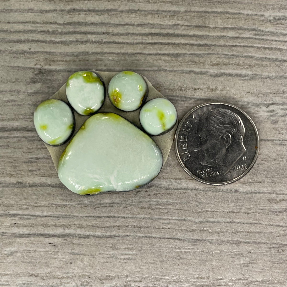 Palomino Paw