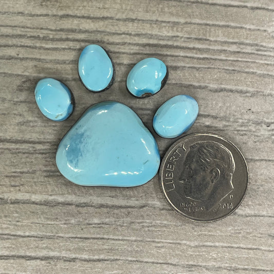 Golden Hill Paw