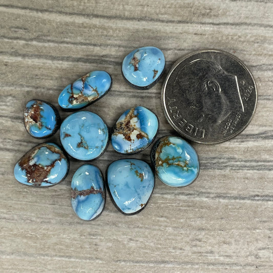 Golden Hill Minis