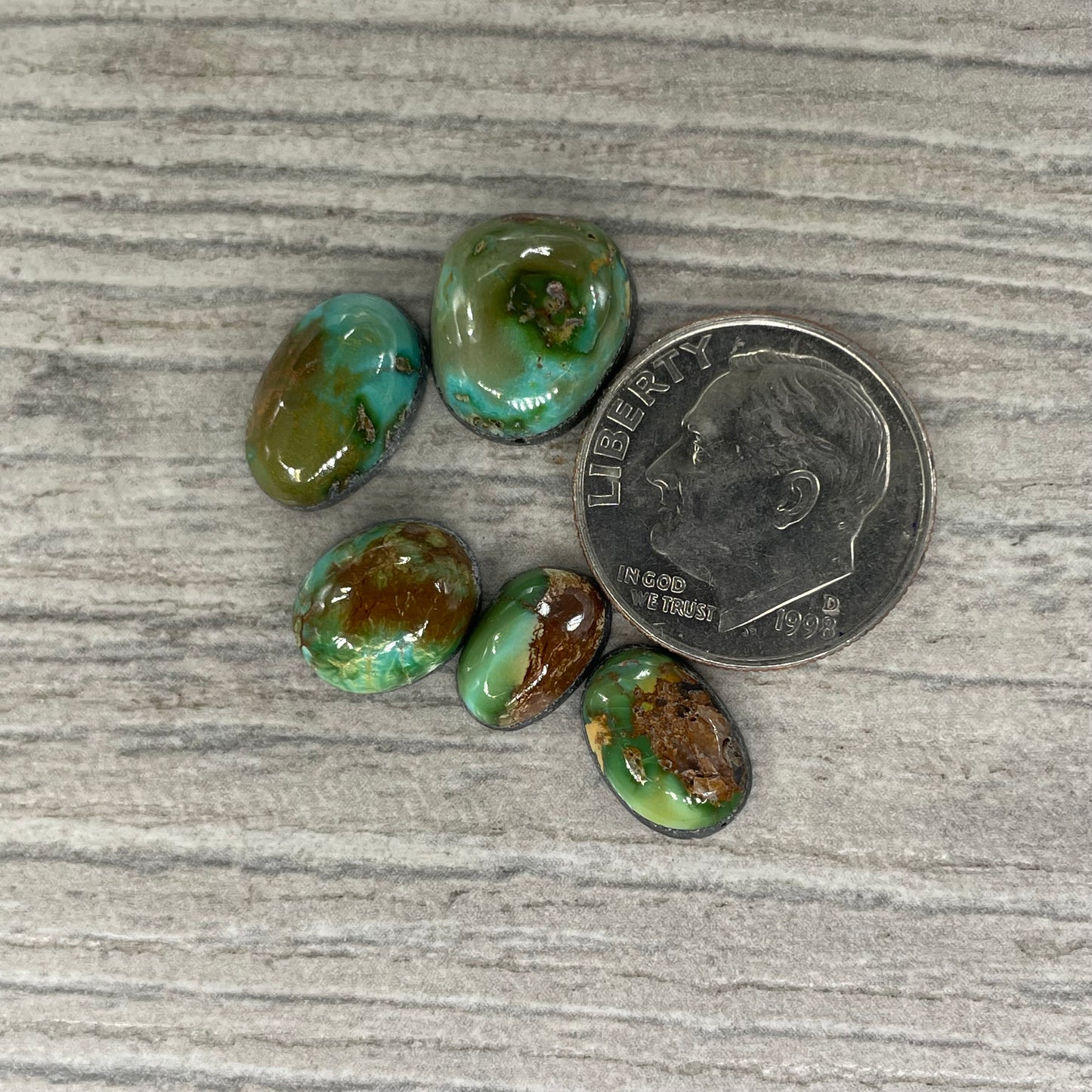 Sonoran Mountain Minis