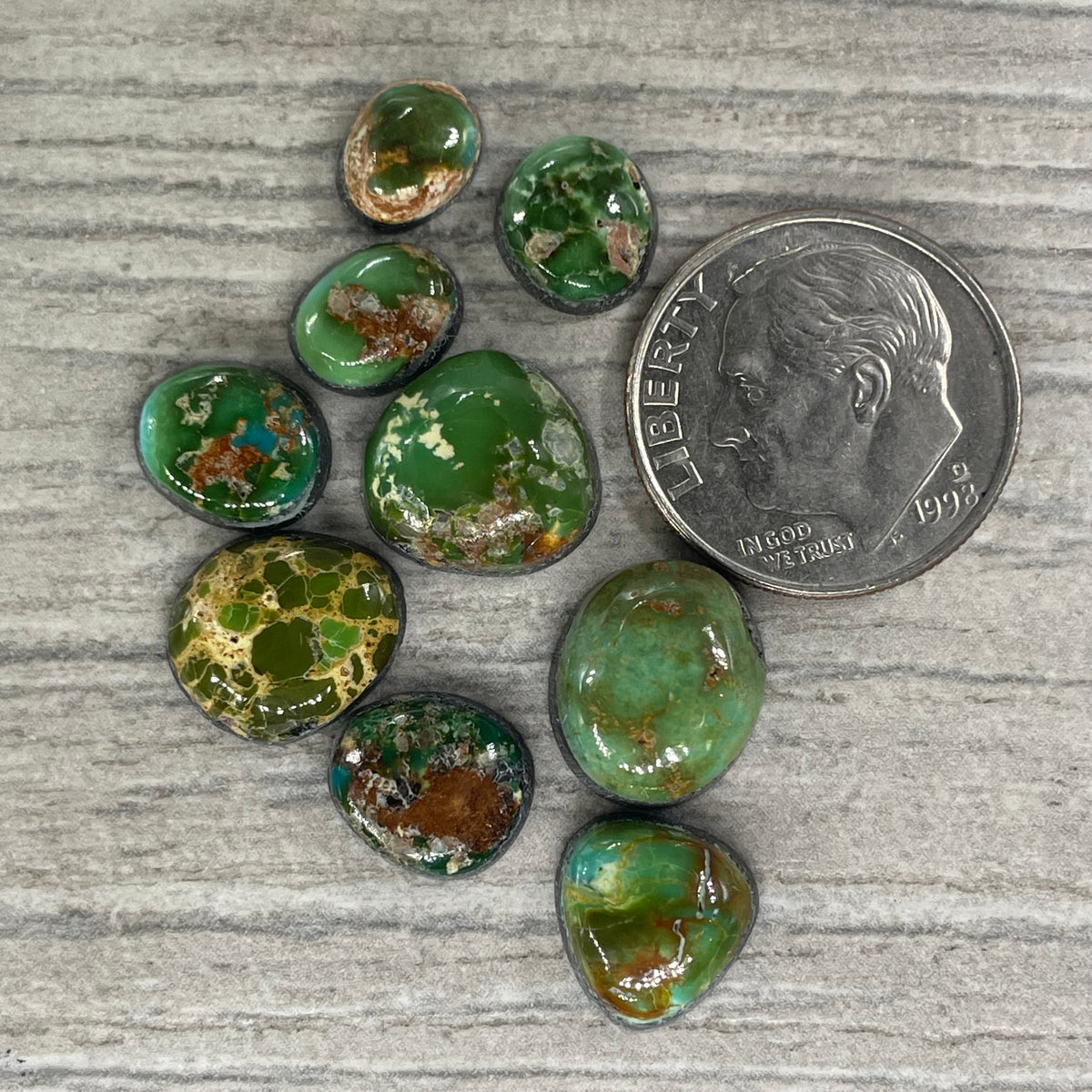 Sonoran Mountain Minis