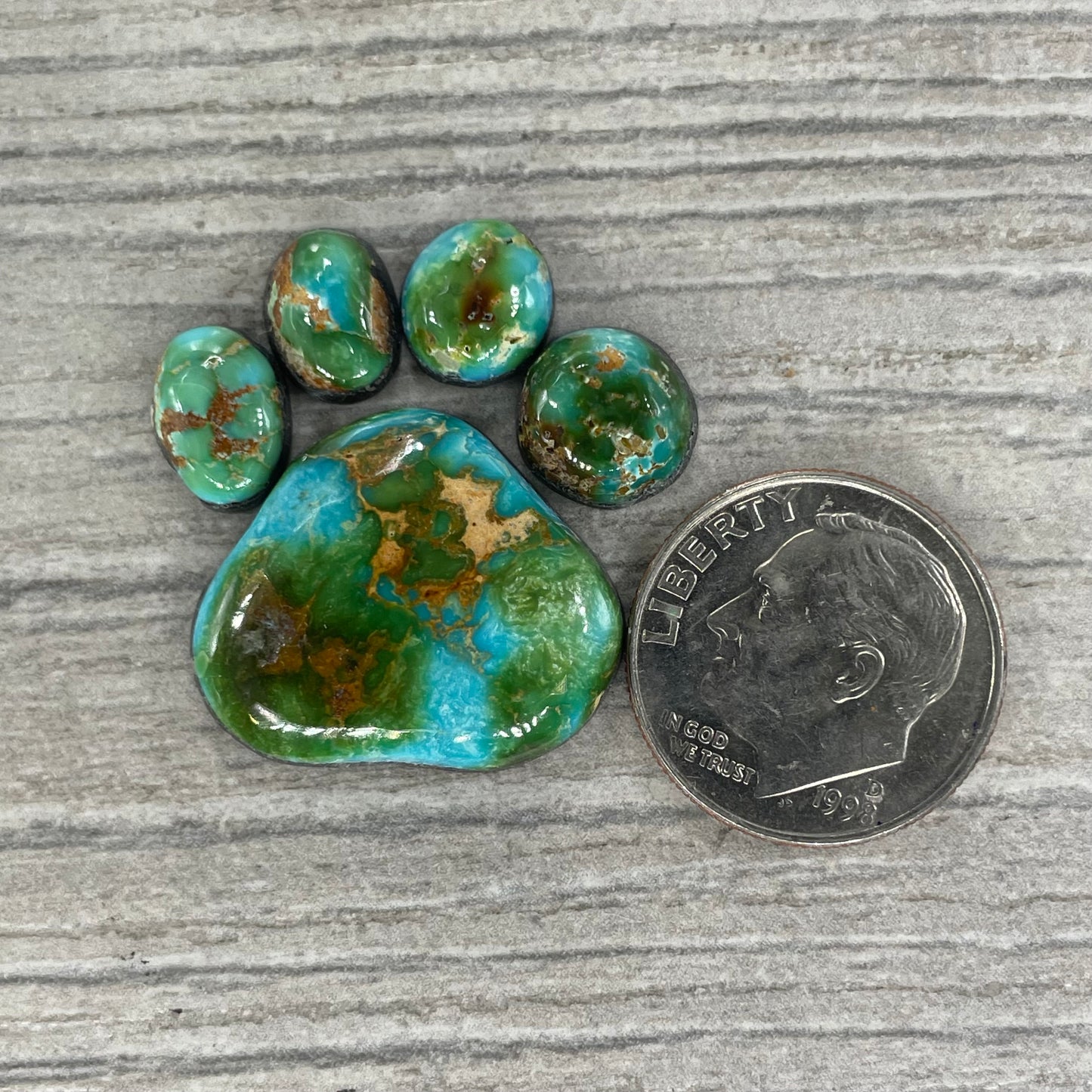 Sonoran Mountain Paw
