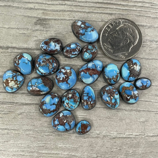 Golden Hill Minis