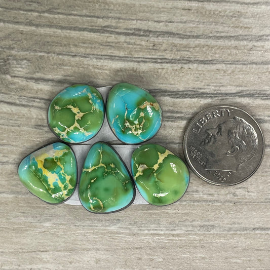 Sonoran Mountain Set