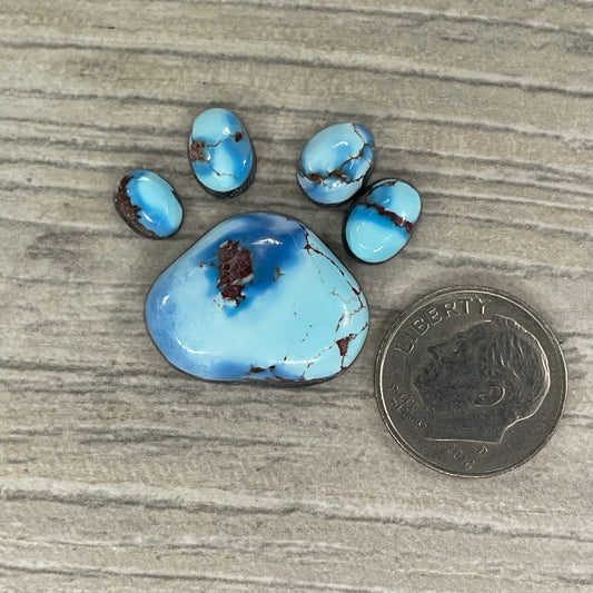 Golden Hill Paw