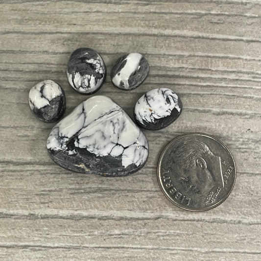 White Buffalo Paw
