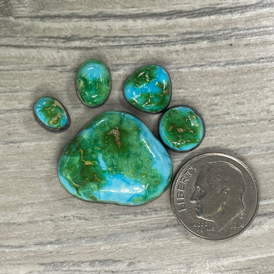 Sierra Bella Paw
