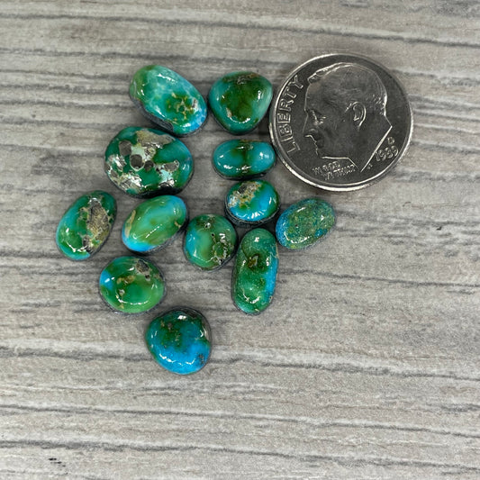 Sierra Bella Minis