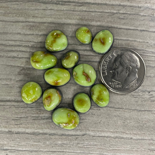 Palomino Minis