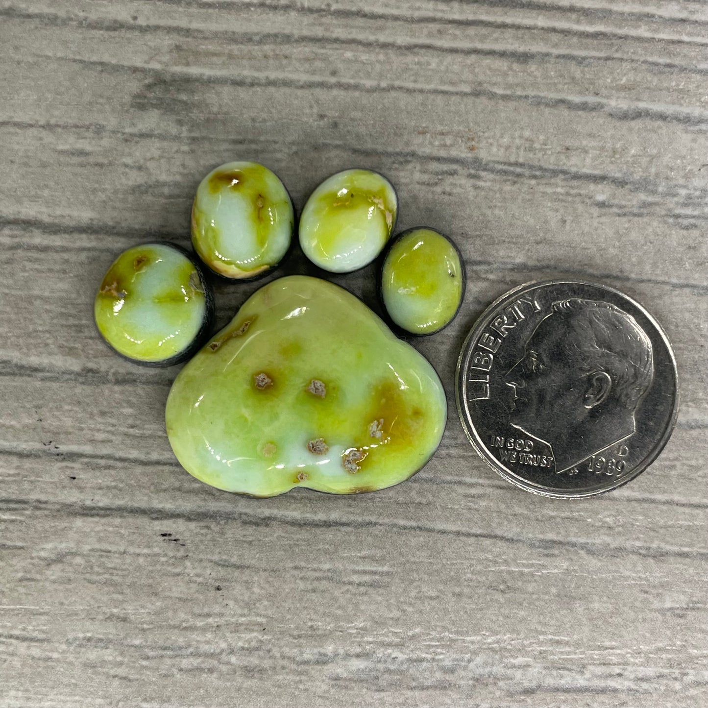 Palomino Paw