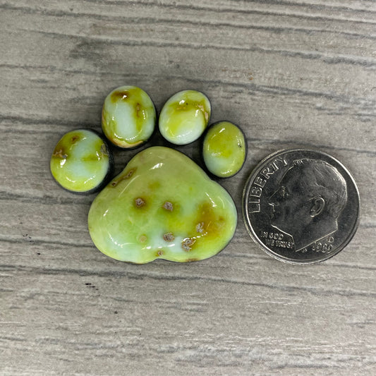 Palomino Paw