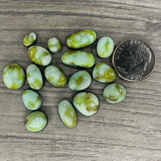 Palomino Minis