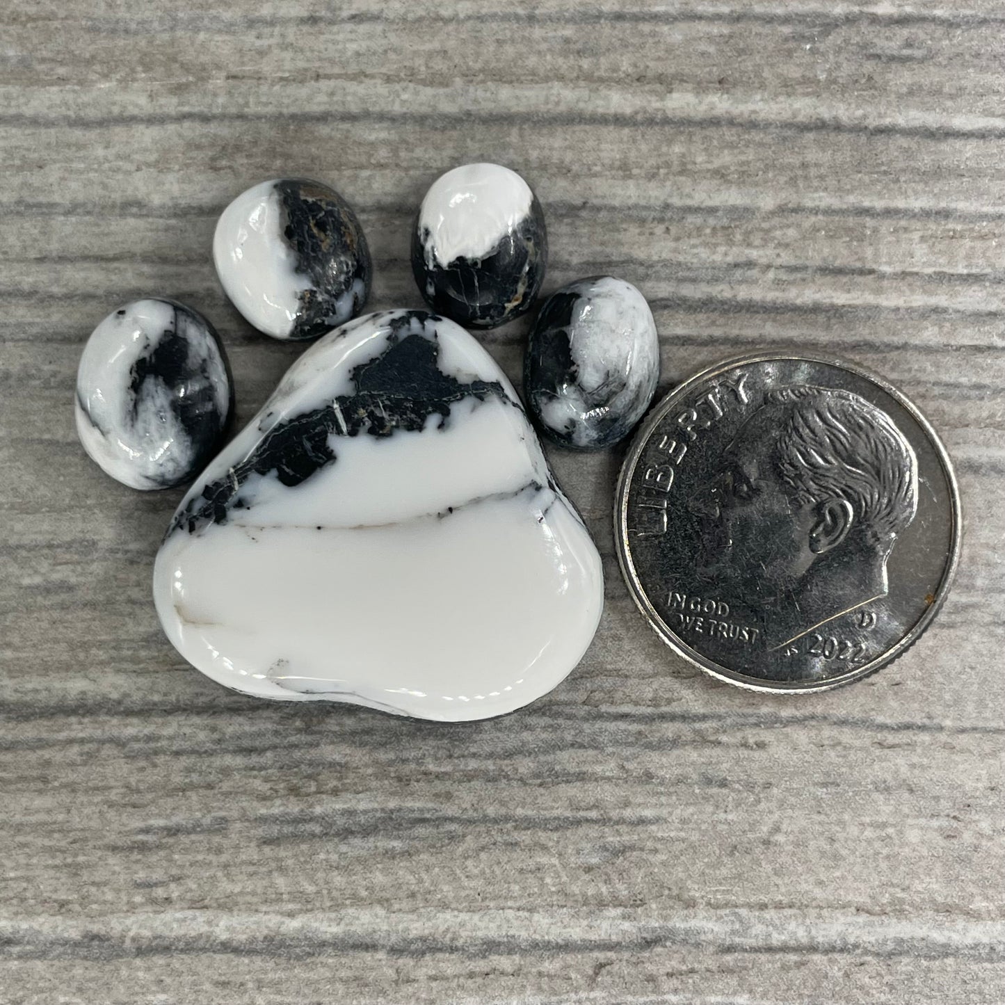 White Buffalo Paw