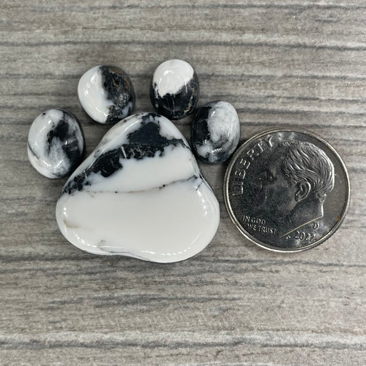 White Buffalo Paw