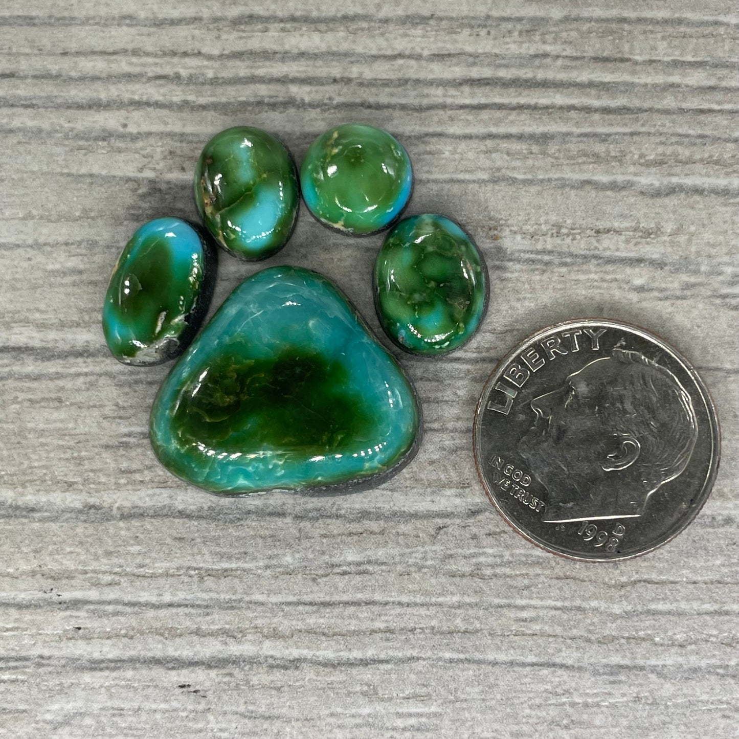 Sonoran Mountain Paw