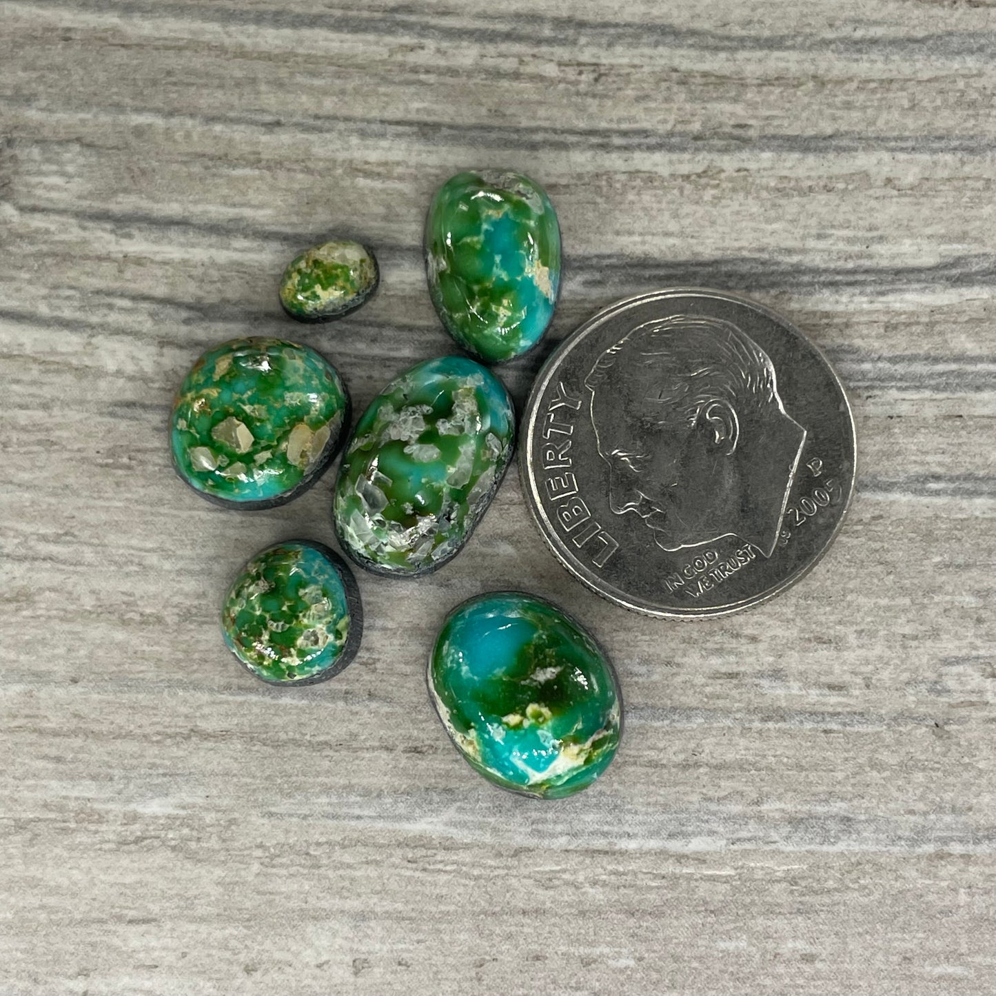 Sonoran Mountain Minis